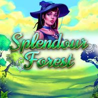 Splendour Forest