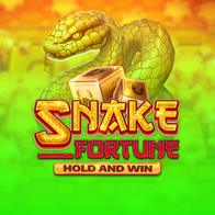 Snake Fortune Hold and Win
