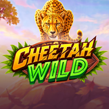 Cheetah Wild